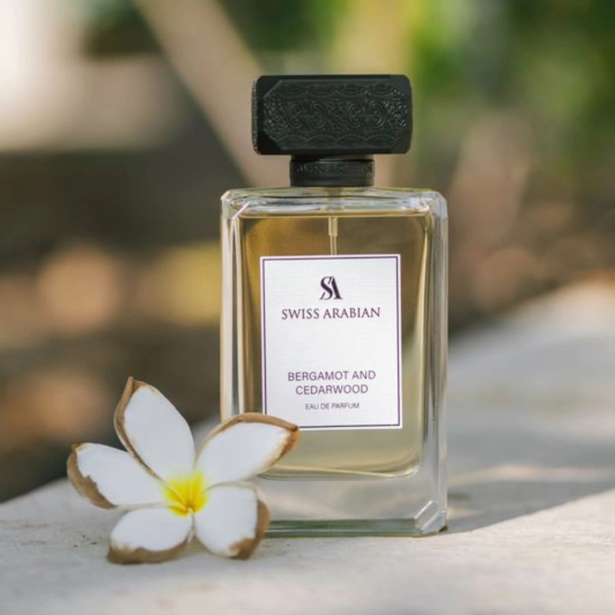 bergamot BERGAMOT AND CEDARWOOD – Swiss Arabian US